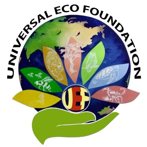 Universal Eco Consultant
